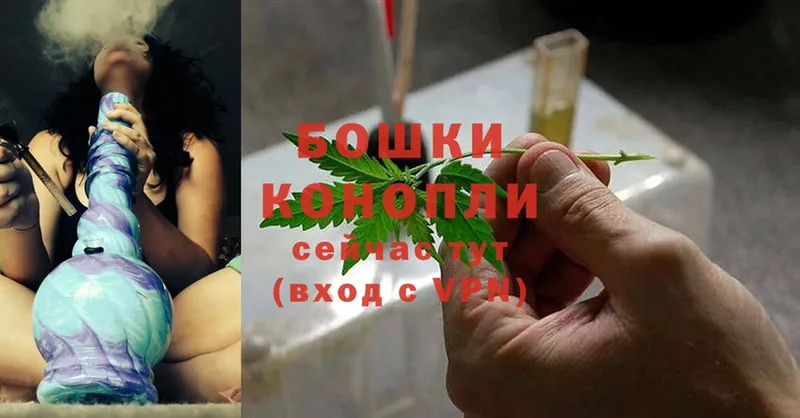 купить закладку  Новая Ляля  площадка клад  Шишки марихуана SATIVA & INDICA 